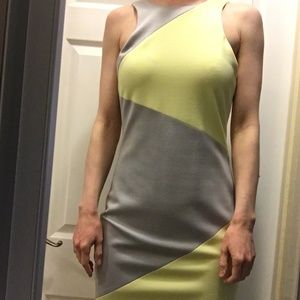 La Pina Color Block Tank Dress
